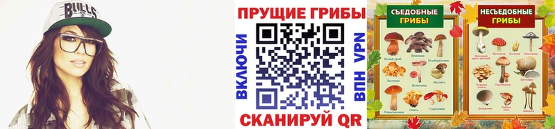 Псилоцибиновые грибы Psilocybine cubensis  Сокол 